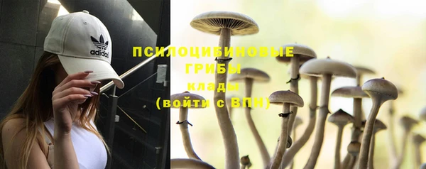 прущие крисы Алексеевка