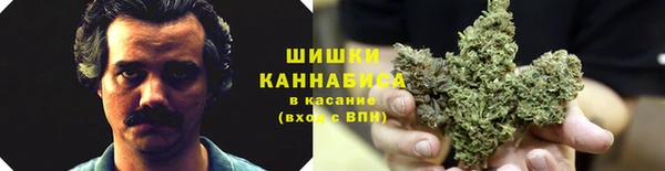 прущие крисы Алексеевка