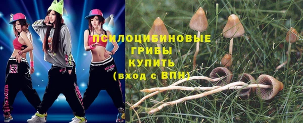 прущие крисы Алексеевка