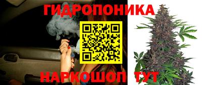 COCAINE Гай