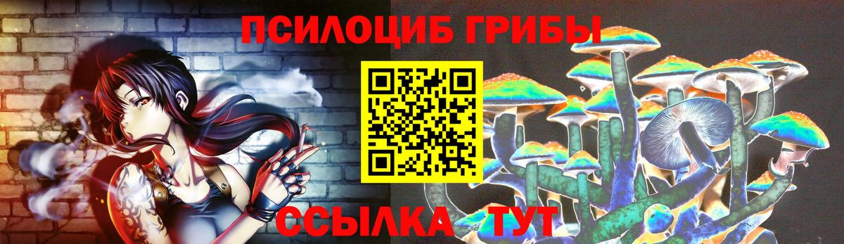 Осинники  Псилоцибиновые грибы MAGIC MUSHROOMS  Вход с VPN 